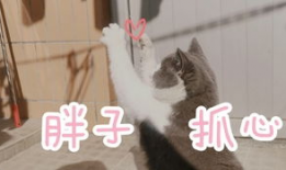 泡英短视频,轻松学习英语，趣味互动新体验